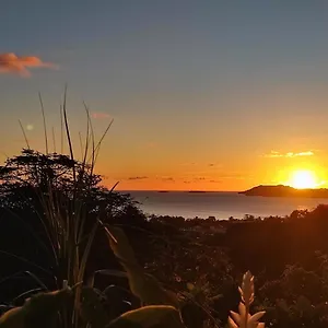 Soleil Levant Le Robert